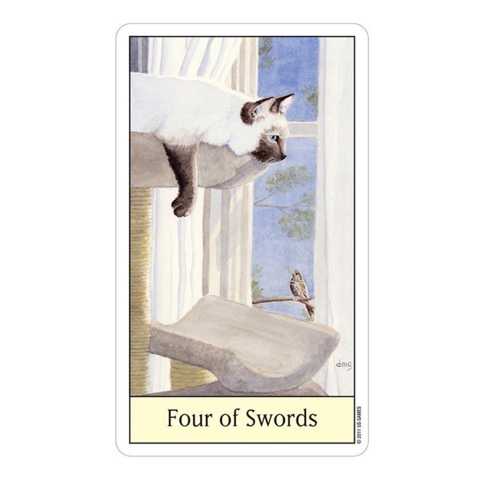 Cats Eye Tarot 12x7 cm Card Ga - đánh giá và giá Tarot Deck With Guidebook