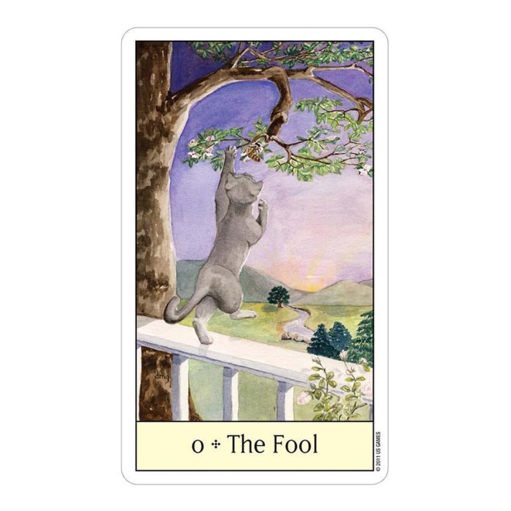 Cats Eye Tarot 12x7 cm Card Ga - đánh giá và giá Tarot Deck With Guidebook