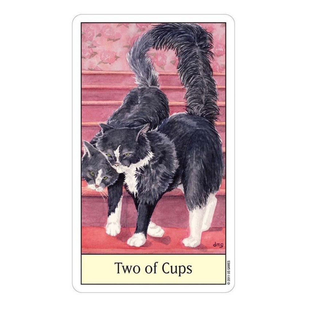 Cats Eye Tarot 12x7 cm Card Ga - đánh giá và giá Tarot Deck With Guidebook