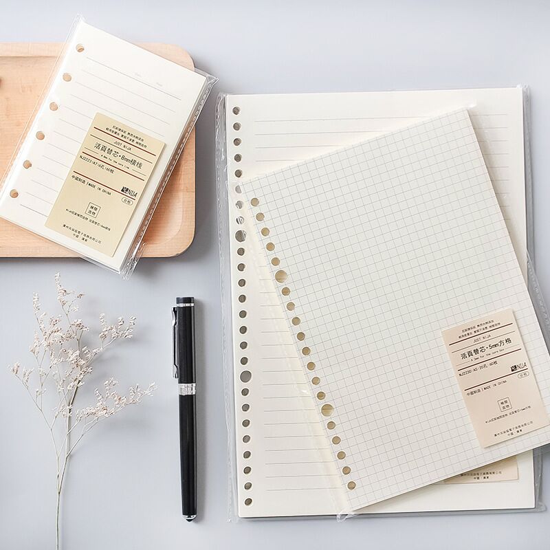 A5 B5 Line Grid 20Holes Loose- - đánh giá và giá A5 Spiral Dotted Grid Notebook