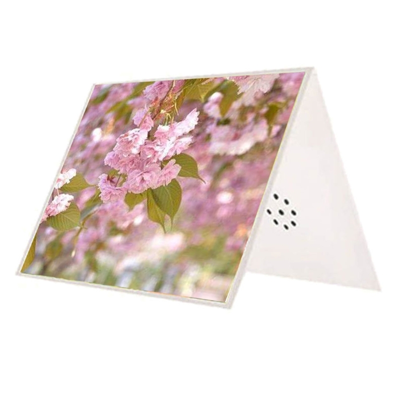 Thiệp chúc mừng DIY có thể ghi - đánh giá và giá Blank Sheet Music Notebook
